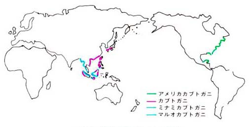 世界のカブトガニの分布図