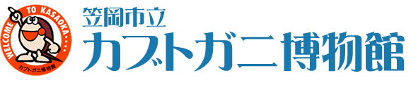 飼育室からこんにちは カブトガニ博物館 笠岡市ホームページ