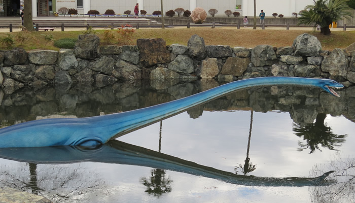 カブトガニ博物館 笠岡市ホームページ カブトガニ博物館 笠岡市ホームページ