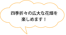 四季折々の広大な花畑を楽しめます！