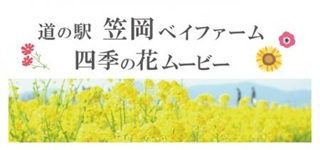 道の駅ムービー
