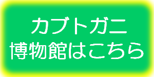 カブトガニ博物館