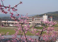 吉田小学校