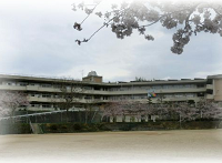 新吉中学校