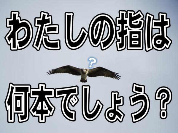 わたしの指は何本でしょう？