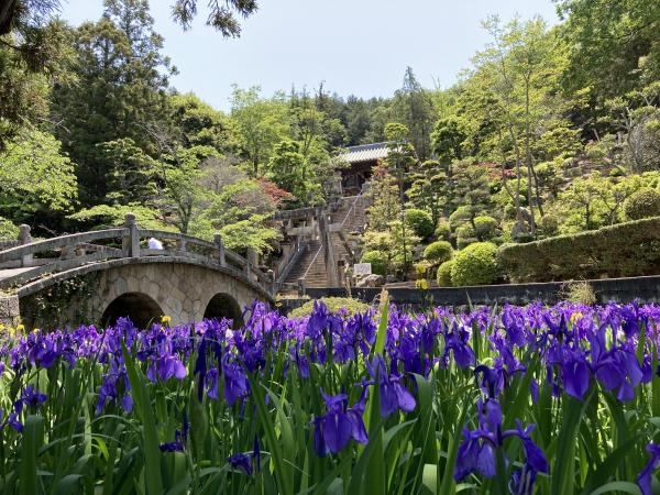 菅原神社の眼鏡橋