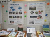 展示２