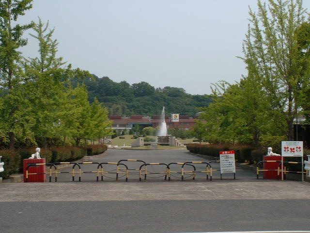 運動公園写真