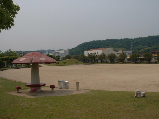 運動公園写真