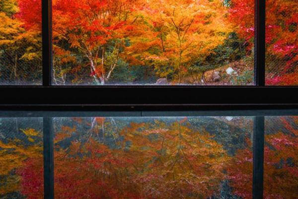 神石高原町「光信寺」