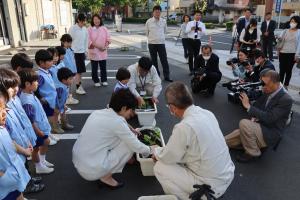 「緑のカーテン」設置イベントゴーヤ