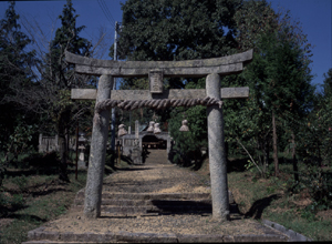 春日神社石鳥居