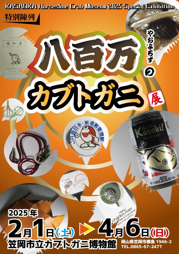 チラシ