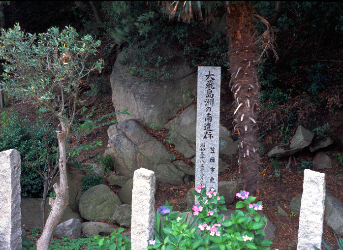 大飛島洲の南遺跡