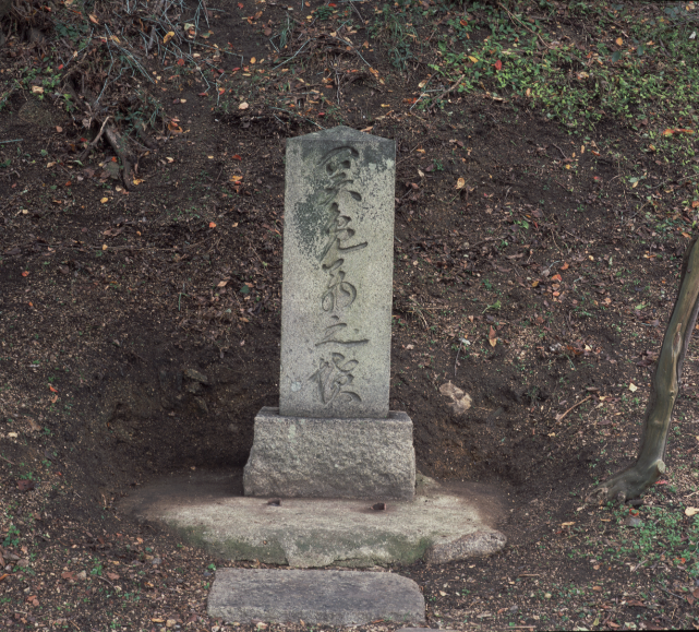 関　鳧翁の墓