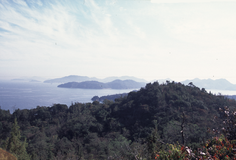 高　島