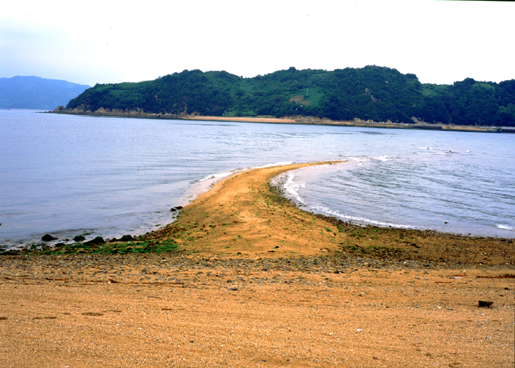 大飛島の砂洲