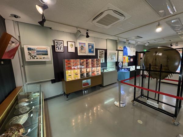 展示のようす