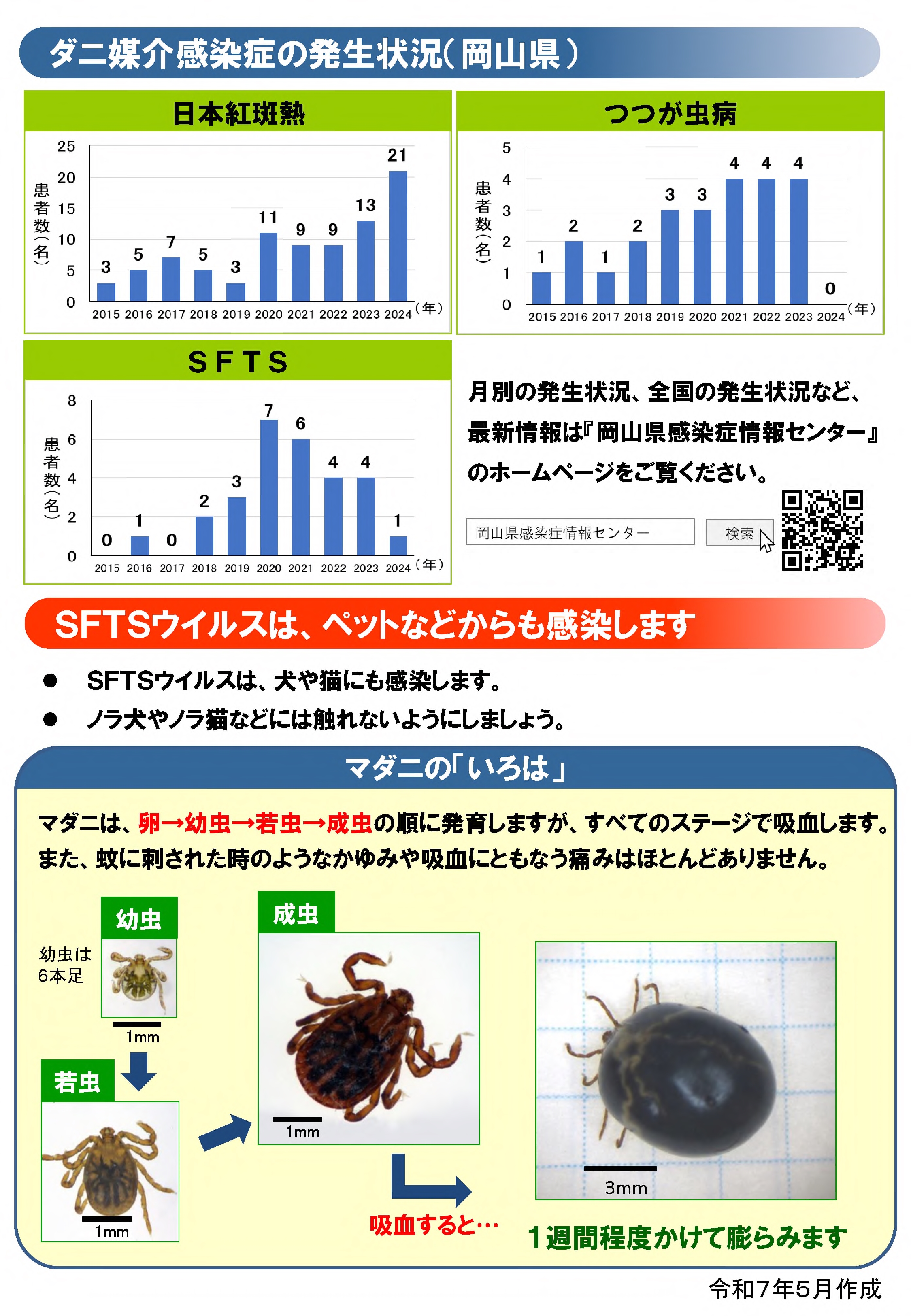 チラシ