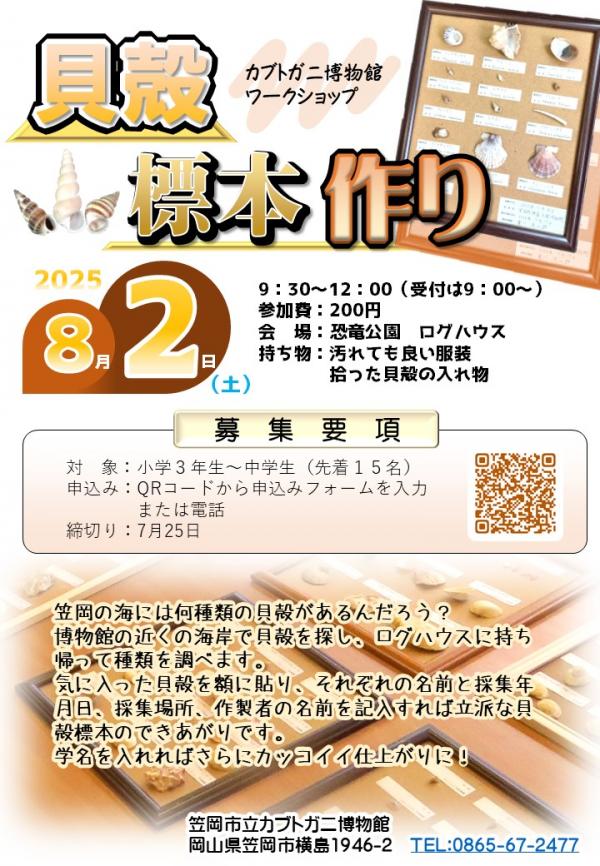 貝殻標本作り