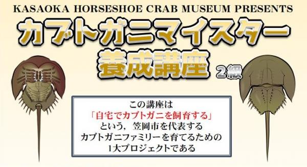 タイトル
