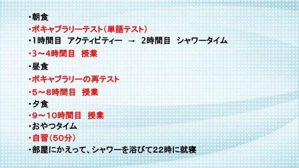 スケジュール