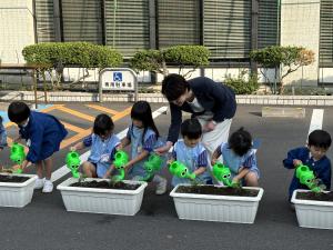 緑のカーテン設置イベント１