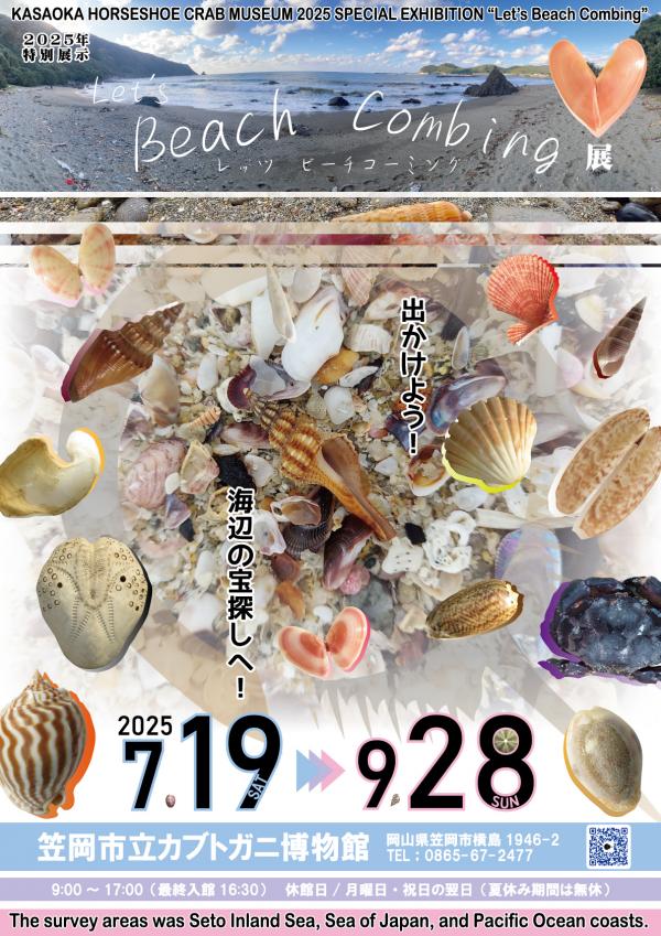 特別展示「Let’s Beach Combing」展 チラシ表