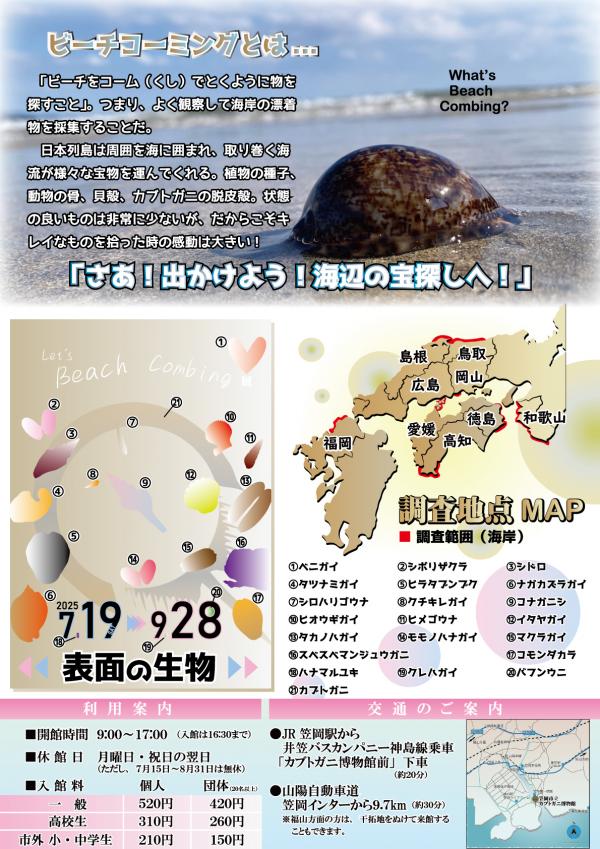 チラシ裏面