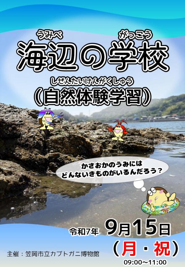海辺の学校チラシ表
