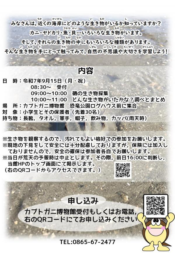 海辺の学校チラシ裏