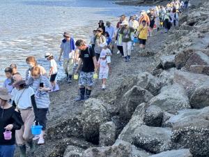 01カブトガニの幼生放流