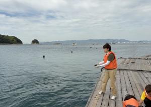 01アマモの種まき