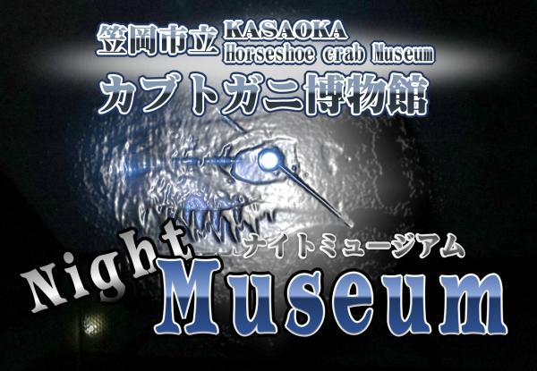 ナイトミュージアム