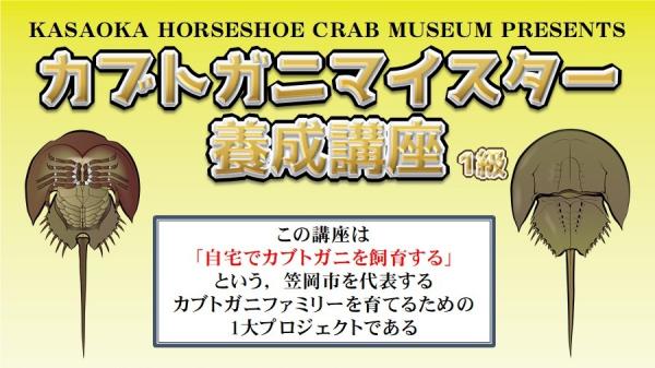 カブトガニマイスター養成講座1級案内画像