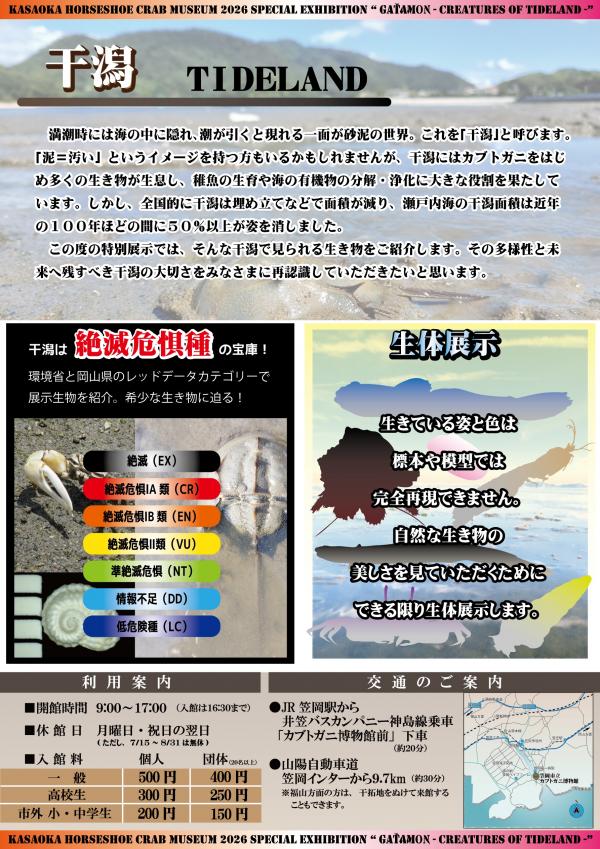 チラシ裏