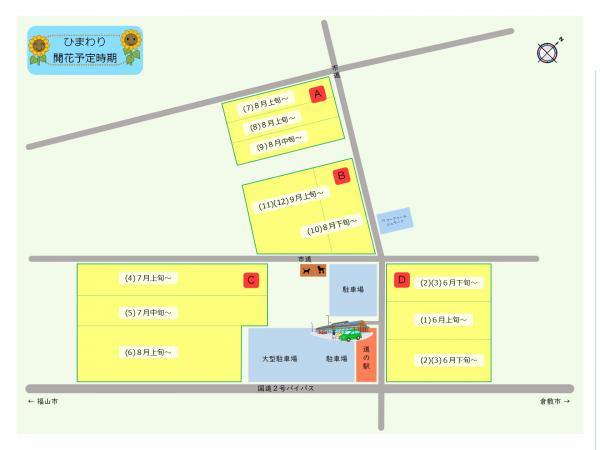 ひまわりの開花状況2026 （道の駅 笠岡ベイファーム） - 笠岡市