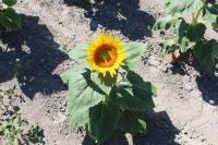 ８