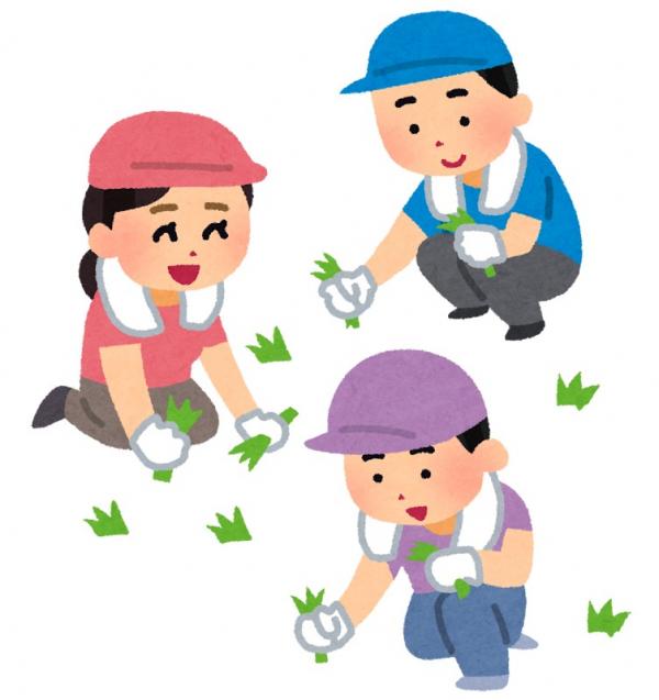 草取り