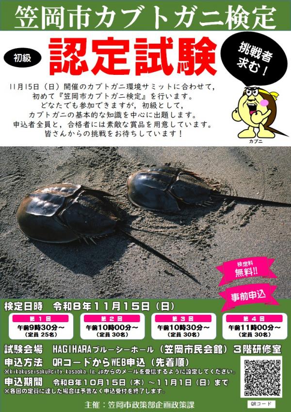 カブトガニ検定チラシ