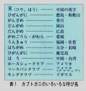 カブトガニの名前の由来の一覧