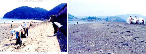 海岸清掃と研修活動の様子
