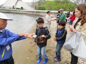 カブトガニと参加者