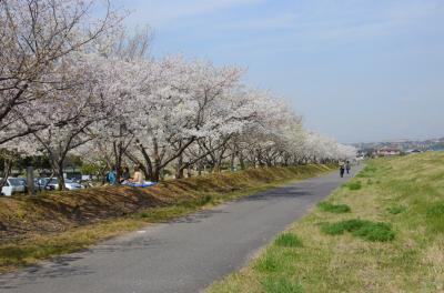 太陽の広場