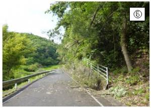 道路上へ覆い被さった木等