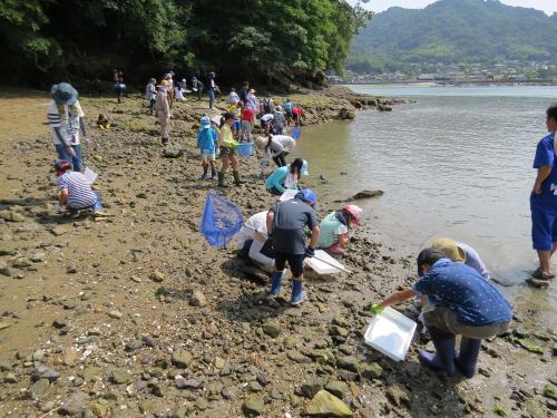 生き物探し中