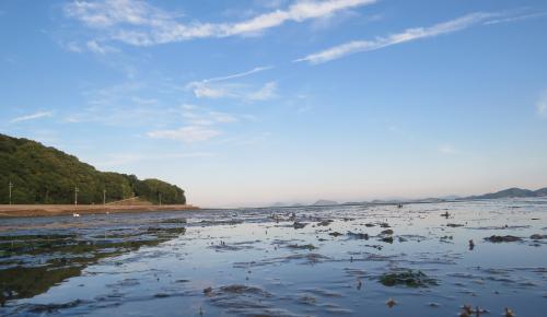 笠岡の海