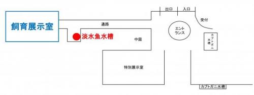 飼育展示室の位置