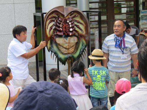 カブトガニ講座