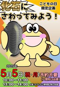 化石にさわってみよう チラシ